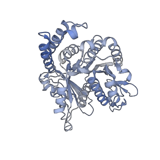 40220_8glv_K6_v1-2
96-nm repeat unit of doublet microtubules from Chlamydomonas reinhardtii flagella