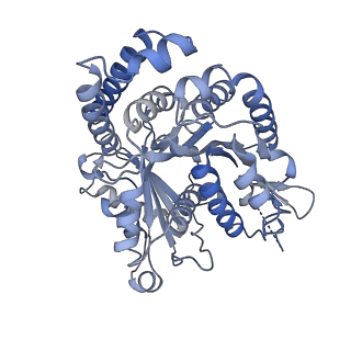 40220_8glv_K7_v1-2
96-nm repeat unit of doublet microtubules from Chlamydomonas reinhardtii flagella