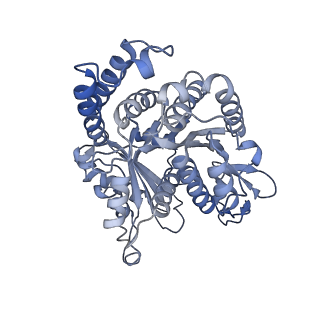 40220_8glv_K8_v1-2
96-nm repeat unit of doublet microtubules from Chlamydomonas reinhardtii flagella