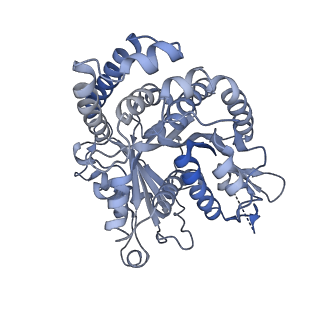 40220_8glv_K9_v1-2
96-nm repeat unit of doublet microtubules from Chlamydomonas reinhardtii flagella