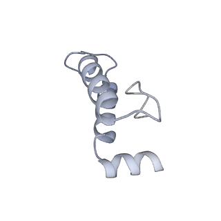 40220_8glv_KB_v1-2
96-nm repeat unit of doublet microtubules from Chlamydomonas reinhardtii flagella