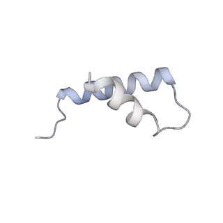 40220_8glv_KE_v1-2
96-nm repeat unit of doublet microtubules from Chlamydomonas reinhardtii flagella