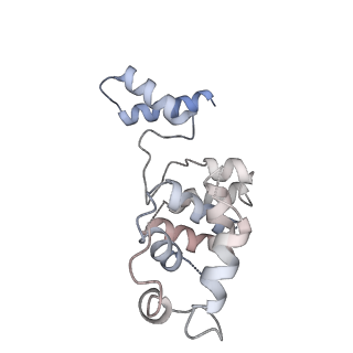 40220_8glv_KG_v1-2
96-nm repeat unit of doublet microtubules from Chlamydomonas reinhardtii flagella