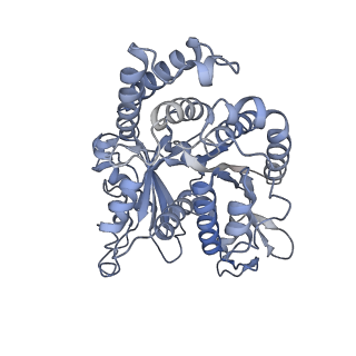 40220_8glv_KH_v1-2
96-nm repeat unit of doublet microtubules from Chlamydomonas reinhardtii flagella