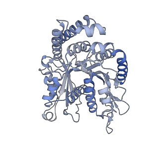 40220_8glv_KI_v1-2
96-nm repeat unit of doublet microtubules from Chlamydomonas reinhardtii flagella