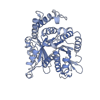 40220_8glv_KJ_v1-2
96-nm repeat unit of doublet microtubules from Chlamydomonas reinhardtii flagella