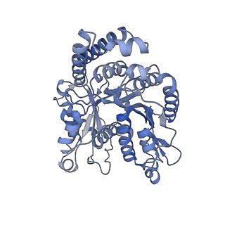 40220_8glv_KK_v1-2
96-nm repeat unit of doublet microtubules from Chlamydomonas reinhardtii flagella