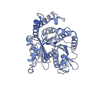 40220_8glv_KL_v1-2
96-nm repeat unit of doublet microtubules from Chlamydomonas reinhardtii flagella