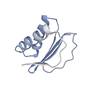 40220_8glv_KM_v1-2
96-nm repeat unit of doublet microtubules from Chlamydomonas reinhardtii flagella
