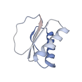 40220_8glv_KN_v1-2
96-nm repeat unit of doublet microtubules from Chlamydomonas reinhardtii flagella