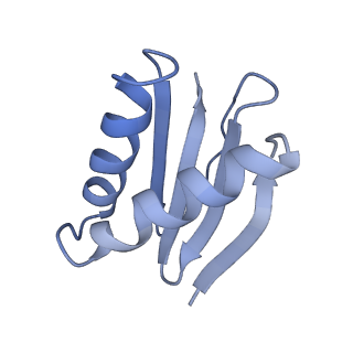 40220_8glv_KO_v1-2
96-nm repeat unit of doublet microtubules from Chlamydomonas reinhardtii flagella