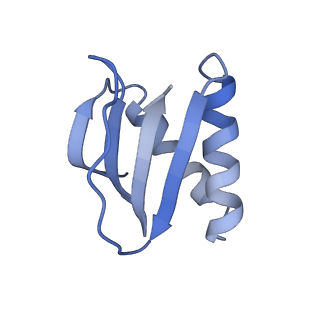 40220_8glv_KP_v1-2
96-nm repeat unit of doublet microtubules from Chlamydomonas reinhardtii flagella