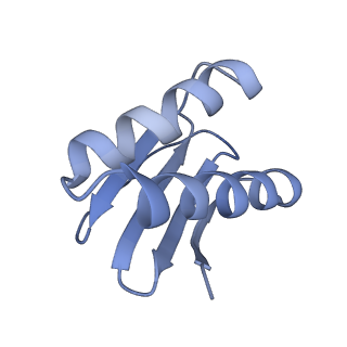 40220_8glv_KQ_v1-2
96-nm repeat unit of doublet microtubules from Chlamydomonas reinhardtii flagella