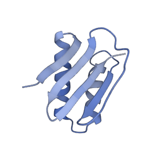 40220_8glv_KR_v1-2
96-nm repeat unit of doublet microtubules from Chlamydomonas reinhardtii flagella