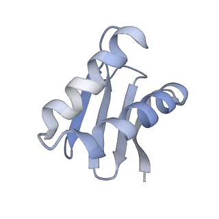 40220_8glv_KS_v1-2
96-nm repeat unit of doublet microtubules from Chlamydomonas reinhardtii flagella