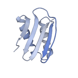 40220_8glv_KT_v1-2
96-nm repeat unit of doublet microtubules from Chlamydomonas reinhardtii flagella