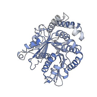 40220_8glv_KV_v1-2
96-nm repeat unit of doublet microtubules from Chlamydomonas reinhardtii flagella