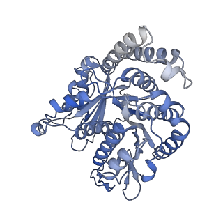 40220_8glv_KW_v1-2
96-nm repeat unit of doublet microtubules from Chlamydomonas reinhardtii flagella
