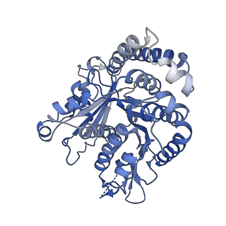 40220_8glv_KX_v1-2
96-nm repeat unit of doublet microtubules from Chlamydomonas reinhardtii flagella