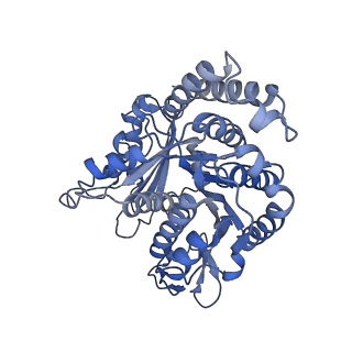 40220_8glv_KY_v1-2
96-nm repeat unit of doublet microtubules from Chlamydomonas reinhardtii flagella