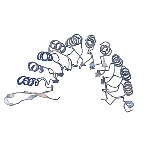 40220_8glv_KZ_v1-2
96-nm repeat unit of doublet microtubules from Chlamydomonas reinhardtii flagella