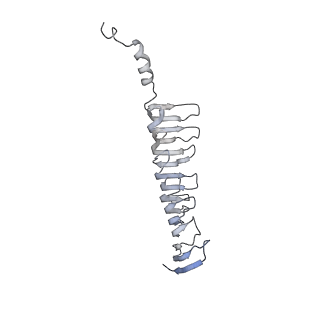 40220_8glv_Ka_v1-2
96-nm repeat unit of doublet microtubules from Chlamydomonas reinhardtii flagella