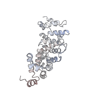 40220_8glv_Kb_v1-2
96-nm repeat unit of doublet microtubules from Chlamydomonas reinhardtii flagella