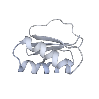 40220_8glv_Kc_v1-2
96-nm repeat unit of doublet microtubules from Chlamydomonas reinhardtii flagella