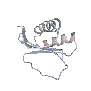 40220_8glv_Kd_v1-2
96-nm repeat unit of doublet microtubules from Chlamydomonas reinhardtii flagella