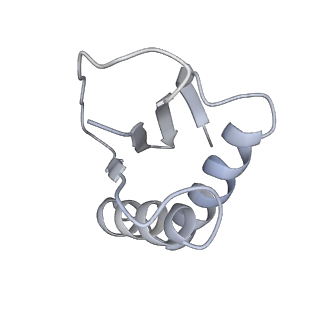 40220_8glv_Ke_v1-2
96-nm repeat unit of doublet microtubules from Chlamydomonas reinhardtii flagella