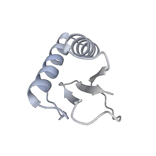 40220_8glv_Kf_v1-2
96-nm repeat unit of doublet microtubules from Chlamydomonas reinhardtii flagella