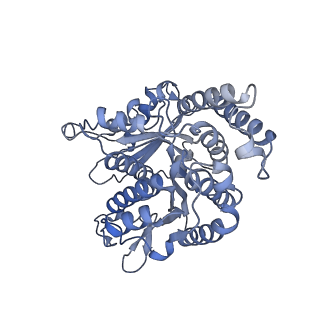 40220_8glv_Kh_v1-2
96-nm repeat unit of doublet microtubules from Chlamydomonas reinhardtii flagella