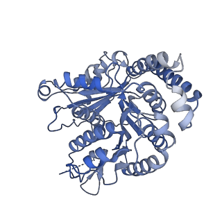 40220_8glv_Ki_v1-2
96-nm repeat unit of doublet microtubules from Chlamydomonas reinhardtii flagella