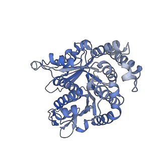 40220_8glv_Kj_v1-2
96-nm repeat unit of doublet microtubules from Chlamydomonas reinhardtii flagella