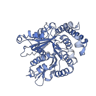 40220_8glv_Kk_v1-2
96-nm repeat unit of doublet microtubules from Chlamydomonas reinhardtii flagella