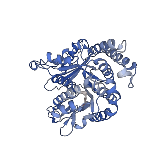 40220_8glv_Kl_v1-2
96-nm repeat unit of doublet microtubules from Chlamydomonas reinhardtii flagella