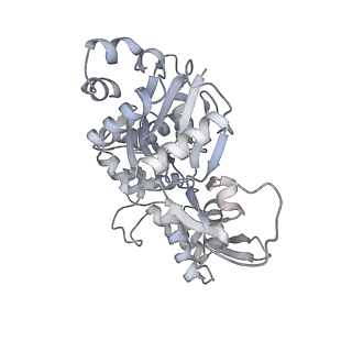 40220_8glv_Km_v1-2
96-nm repeat unit of doublet microtubules from Chlamydomonas reinhardtii flagella