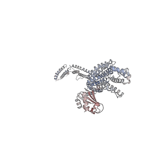 40220_8glv_Kr_v1-2
96-nm repeat unit of doublet microtubules from Chlamydomonas reinhardtii flagella