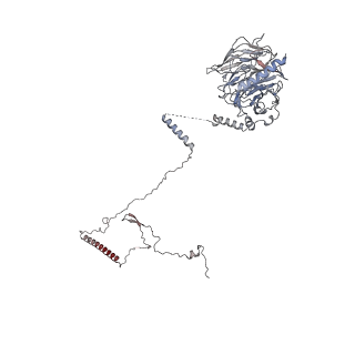 40220_8glv_Kt_v1-2
96-nm repeat unit of doublet microtubules from Chlamydomonas reinhardtii flagella