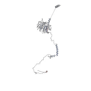 40220_8glv_Ku_v1-2
96-nm repeat unit of doublet microtubules from Chlamydomonas reinhardtii flagella
