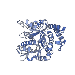 40220_8glv_Kv_v1-2
96-nm repeat unit of doublet microtubules from Chlamydomonas reinhardtii flagella