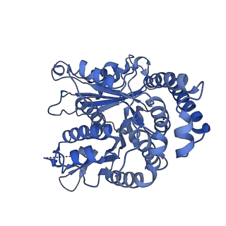 40220_8glv_Kw_v1-2
96-nm repeat unit of doublet microtubules from Chlamydomonas reinhardtii flagella