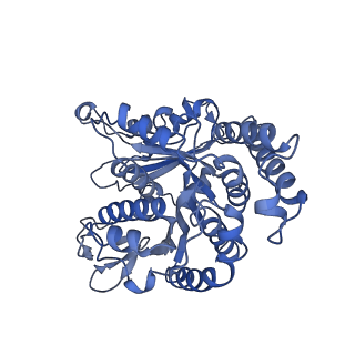 40220_8glv_Kx_v1-2
96-nm repeat unit of doublet microtubules from Chlamydomonas reinhardtii flagella