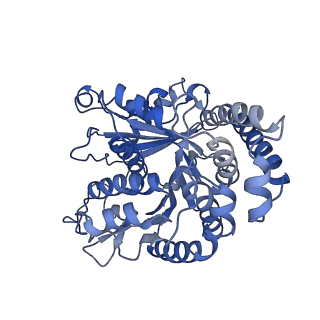 40220_8glv_Ky_v1-2
96-nm repeat unit of doublet microtubules from Chlamydomonas reinhardtii flagella