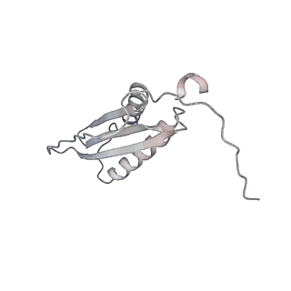 40220_8glv_Kz_v1-2
96-nm repeat unit of doublet microtubules from Chlamydomonas reinhardtii flagella