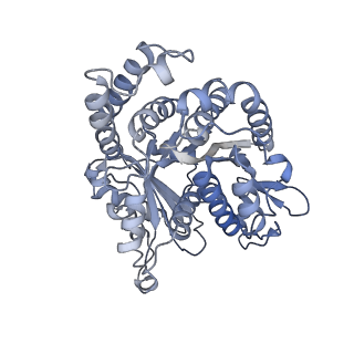 40220_8glv_L0_v1-2
96-nm repeat unit of doublet microtubules from Chlamydomonas reinhardtii flagella