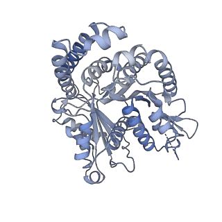 40220_8glv_L1_v1-2
96-nm repeat unit of doublet microtubules from Chlamydomonas reinhardtii flagella