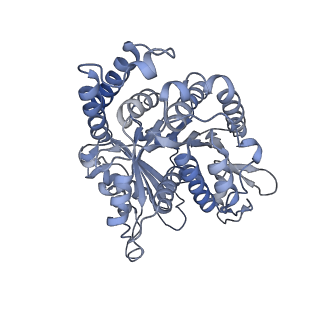 40220_8glv_L2_v1-2
96-nm repeat unit of doublet microtubules from Chlamydomonas reinhardtii flagella
