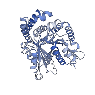 40220_8glv_L3_v1-2
96-nm repeat unit of doublet microtubules from Chlamydomonas reinhardtii flagella