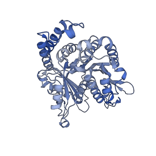 40220_8glv_L4_v1-2
96-nm repeat unit of doublet microtubules from Chlamydomonas reinhardtii flagella